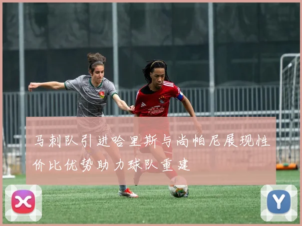 马刺队引进哈里斯与尚帕尼展现性价比优势助力球队重建